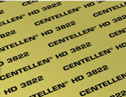 Gasket CENTELLEN HD 3822