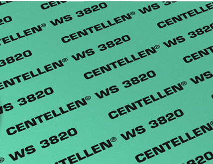 Gasket CENTELLEN WS 3820